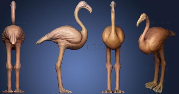 3D model Realistic Flamingo (STL)